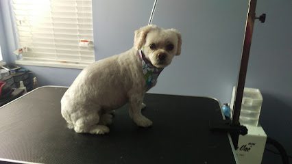 Beggin For Bubbles