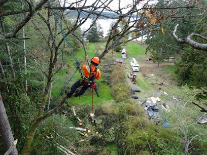 Langley Tree Service and Arborist
