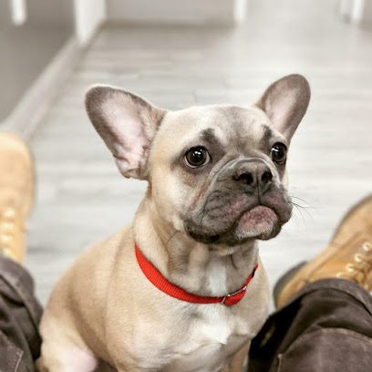 Clearbrook Animal Hospital