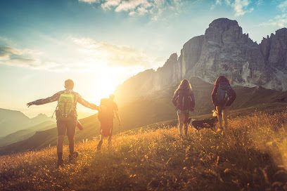 Abbotsford Health Chiropractic