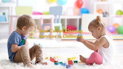 Scotties Carpet & Upholstery Cleaning