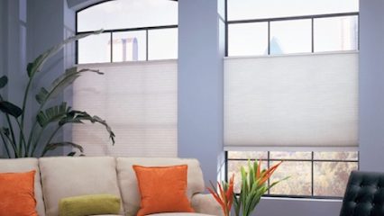 X-Pressions Plus Windows Design
