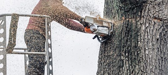 Abbotsford Tree Services