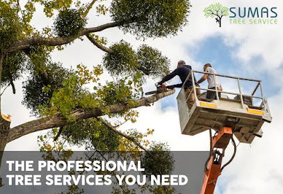 Sumas Tree Service