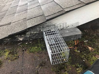 Rentokil, formerly OnSite Pest Control