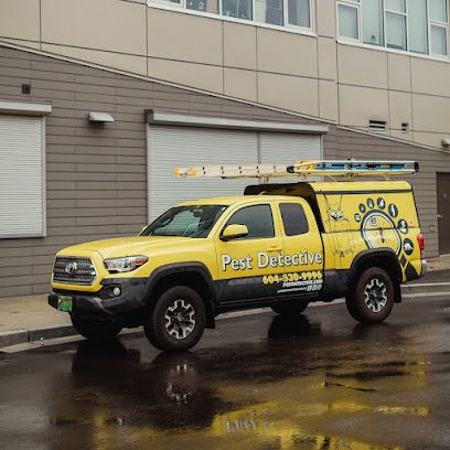 Pest Detective – Langley & Aldergrove