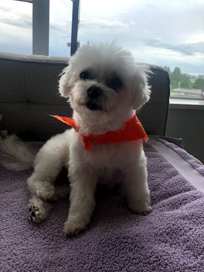 Christine’s Grooming Studio