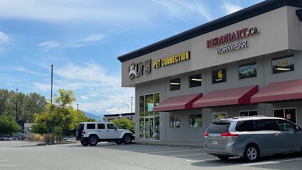 Oly’s Doggie Spa & Grooming