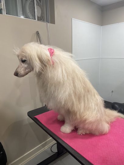 Krissy’s Perfect Paws Dog Grooming
