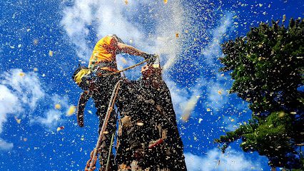 ArborGreen Tree Service North Vancouver