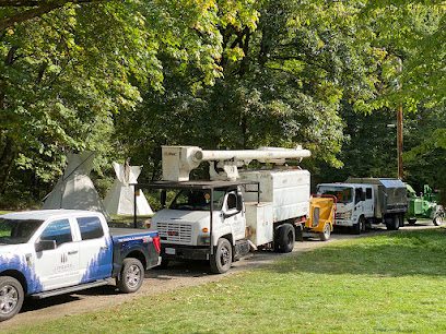 Lombardi Tree Service