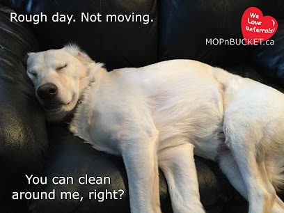 MOP-n-BUCKET Cleaning Service (Abbotsford)