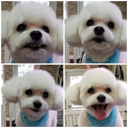 Fetching Fur Dog Grooming