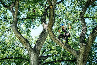 Grizzly Tree Experts