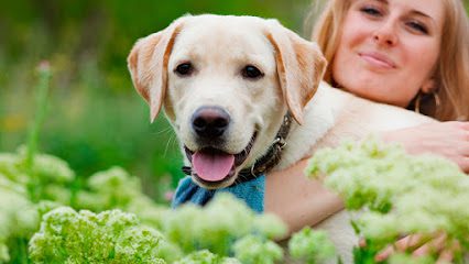 Alpha Animal Hospital – Veterinary Clinic Abbotsford