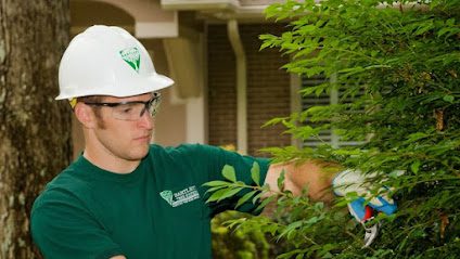 Bartlett Tree Experts