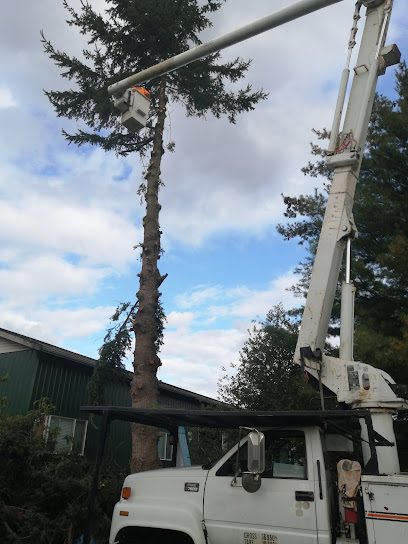 Mid Valley Tree Services