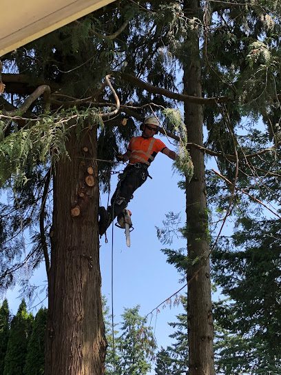 M. McConkey Arborist Services Ltd