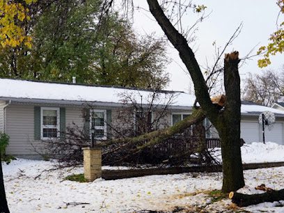 Fraserview Arborist Consulting