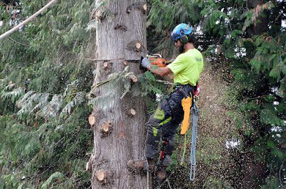 Bruinsma Tree Service