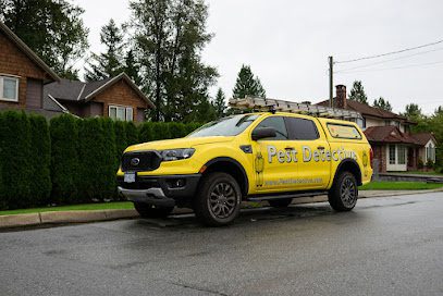 Pest Detective – Abbotsford/Chilliwack/Fraser Valley