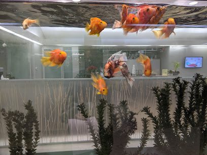 Abbotsford Dental Group
