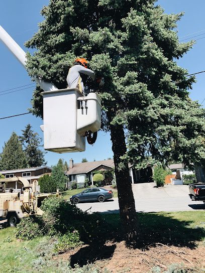Diamond Tree Service