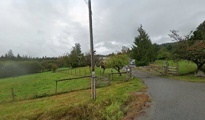 Abbotsford Cleaning